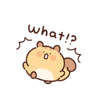 ぽっちゃリスの英語（個別スタンプ：29）