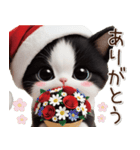 可愛いハチワレ猫 サンタ帽 冬 気づかい（個別スタンプ：3）
