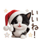 可愛いハチワレ猫 サンタ帽 冬 気づかい（個別スタンプ：4）