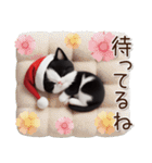 可愛いハチワレ猫 サンタ帽 冬 気づかい（個別スタンプ：13）