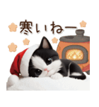 可愛いハチワレ猫 サンタ帽 冬 気づかい（個別スタンプ：17）