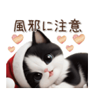 可愛いハチワレ猫 サンタ帽 冬 気づかい（個別スタンプ：20）