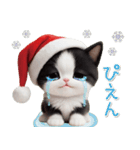 可愛いハチワレ猫 サンタ帽 冬 気づかい（個別スタンプ：24）