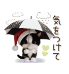 可愛いハチワレ猫 サンタ帽 冬 気づかい（個別スタンプ：26）