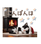 可愛いハチワレ猫 サンタ帽 冬 気づかい（個別スタンプ：28）