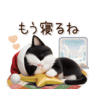 可愛いハチワレ猫 サンタ帽 冬 気づかい（個別スタンプ：29）