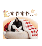 可愛いハチワレ猫 サンタ帽 冬 気づかい（個別スタンプ：31）