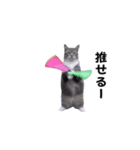 動く！ステップにゃんこ（個別スタンプ：3）