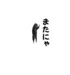 動く！ステップにゃんこ（個別スタンプ：15）