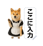 メイドになった柴犬メッセージスタンプ（個別スタンプ：2）