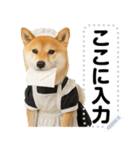 メイドになった柴犬メッセージスタンプ（個別スタンプ：3）