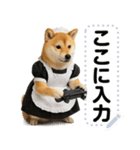 メイドになった柴犬メッセージスタンプ（個別スタンプ：5）