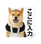 メイドになった柴犬メッセージスタンプ（個別スタンプ：8）