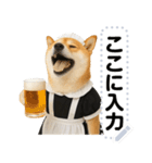 メイドになった柴犬メッセージスタンプ（個別スタンプ：9）