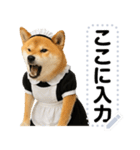 メイドになった柴犬メッセージスタンプ（個別スタンプ：17）