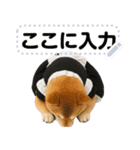 メイドになった柴犬メッセージスタンプ（個別スタンプ：20）