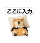 メイドになった柴犬メッセージスタンプ（個別スタンプ：23）
