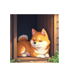 柴犬の新日常8（個別スタンプ：35）