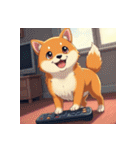 柴犬の新日常8（個別スタンプ：38）