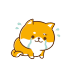 文字無し♪毎日使える★かまってチビ柴34（個別スタンプ：4）