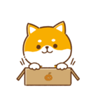 文字無し♪毎日使える★かまってチビ柴34（個別スタンプ：7）