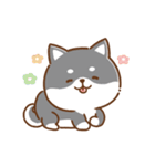 文字無し♪毎日使える★かまってチビ柴34（個別スタンプ：8）