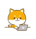 文字無し♪毎日使える★かまってチビ柴34（個別スタンプ：12）