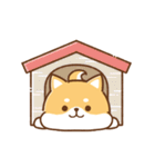 文字無し♪毎日使える★かまってチビ柴34（個別スタンプ：16）