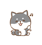 文字無し♪毎日使える★かまってチビ柴34（個別スタンプ：17）