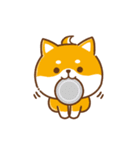 文字無し♪毎日使える★かまってチビ柴34（個別スタンプ：19）