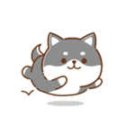 文字無し♪毎日使える★かまってチビ柴34（個別スタンプ：22）