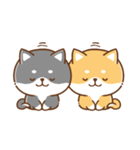 文字無し♪毎日使える★かまってチビ柴34（個別スタンプ：31）