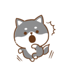 文字無し♪毎日使える★かまってチビ柴34（個別スタンプ：34）