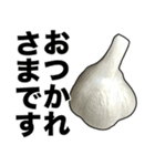 敬語ニンニク（個別スタンプ：3）
