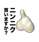 敬語ニンニク（個別スタンプ：4）