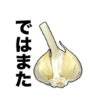 敬語ニンニク（個別スタンプ：13）
