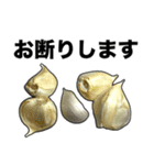 敬語ニンニク（個別スタンプ：15）