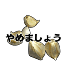 敬語ニンニク（個別スタンプ：16）