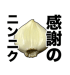 敬語ニンニク（個別スタンプ：28）