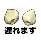 敬語ニンニク（個別スタンプ：31）