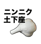 敬語ニンニク（個別スタンプ：36）