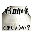 敬語ニンニク（個別スタンプ：39）