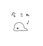 ピヨコロ2025流行語（個別スタンプ：33）