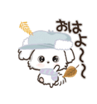 冬のワンコ❄️ご挨拶・毎日【愛犬マルチ】（個別スタンプ：1）