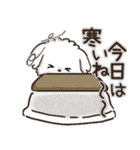 冬のワンコ❄️ご挨拶・毎日【愛犬マルチ】（個別スタンプ：3）