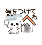 冬のワンコ❄️ご挨拶・毎日【愛犬マルチ】（個別スタンプ：9）