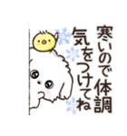 冬のワンコ❄️ご挨拶・毎日【愛犬マルチ】（個別スタンプ：12）
