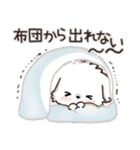 冬のワンコ❄️ご挨拶・毎日【愛犬マルチ】（個別スタンプ：24）