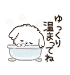 冬のワンコ❄️ご挨拶・毎日【愛犬マルチ】（個別スタンプ：25）