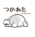 冬のワンコ❄️ご挨拶・毎日【愛犬マルチ】（個別スタンプ：26）